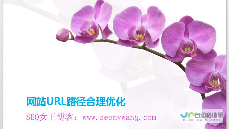 南宁SEO优化服务：提升网站排名，获取精准客户